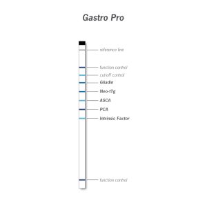 AESKUBLOTS Gastro Pro