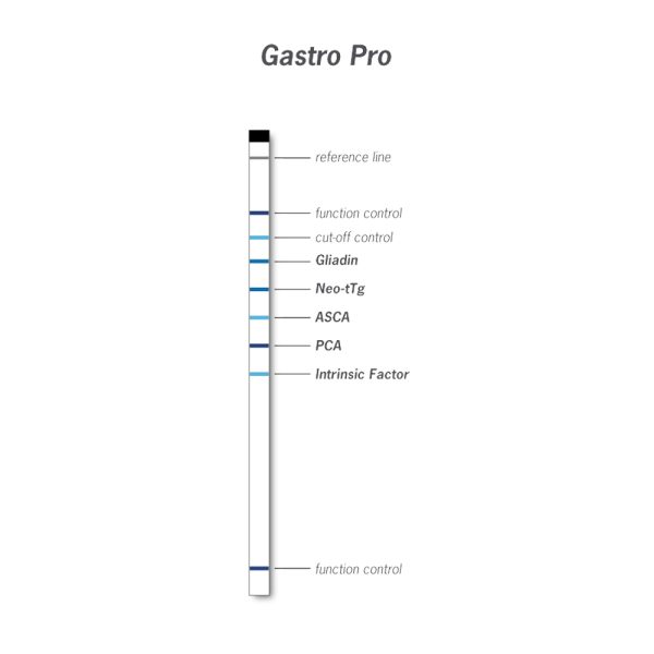 AESKUBLOTS Gastro Pro