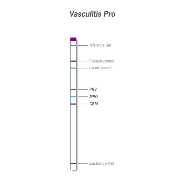 AESKUBLOTS Vasculitis Pro