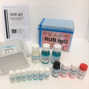 Rub IgG ELISA