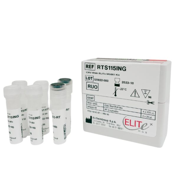 BKV ELITe MGB® Kit