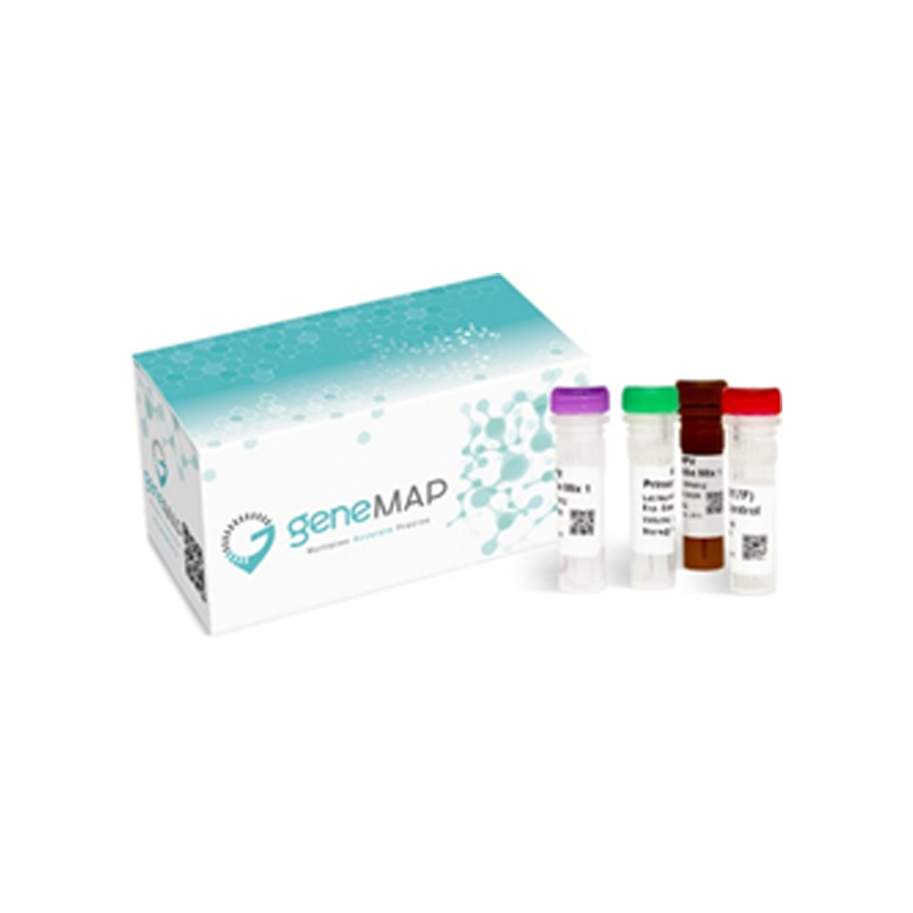 geneMAP FII Mutation Detection