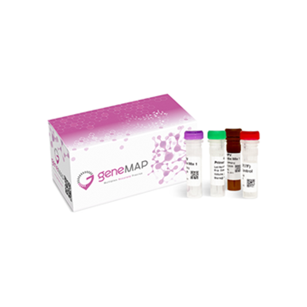 geneMAP BCR-ABL1 (p190, p210, p230) Screening