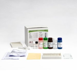 INNO-LIA® HCV Score