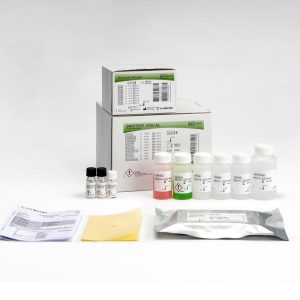 INNOTEST® hTAU Ag
