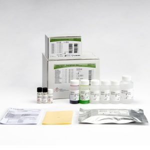 INNOTEST® PHOSPHO-TAU(181P)