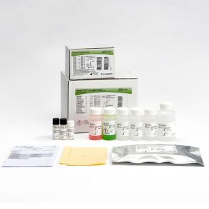 INNOTEST® β-AMYLOID(1-40)