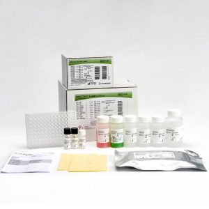 INNOTEST® β-AMYLOID(1-42)