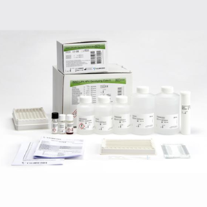 INNO-LiPA HPV Genotyping Extra II Amp