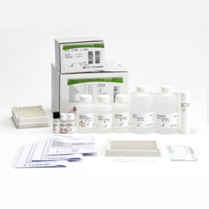 INNO-LiPA MYCOBACTERIA v2