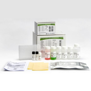 INNOTEST β-AMYLOID(1-40)