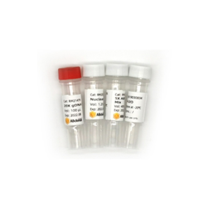 Reactivos de Biología Molecular