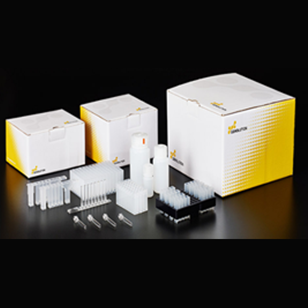 NX-48S/N Bacterial DNA K